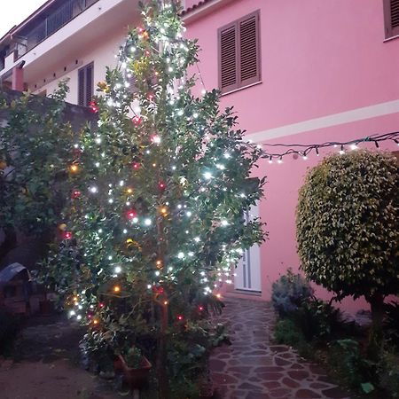 L'Agrifoglio Di Emy Bed & Breakfast Guspini Dış mekan fotoğraf