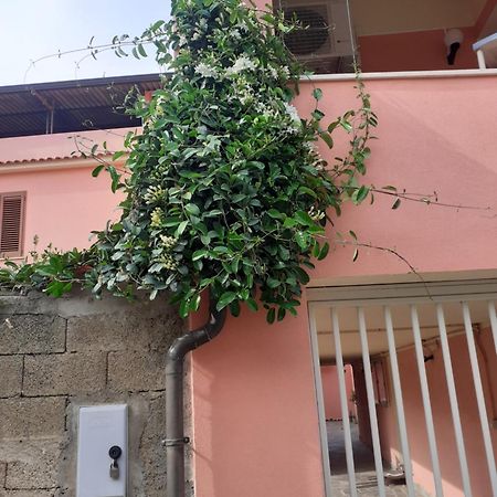 L'Agrifoglio Di Emy Bed & Breakfast Guspini Dış mekan fotoğraf