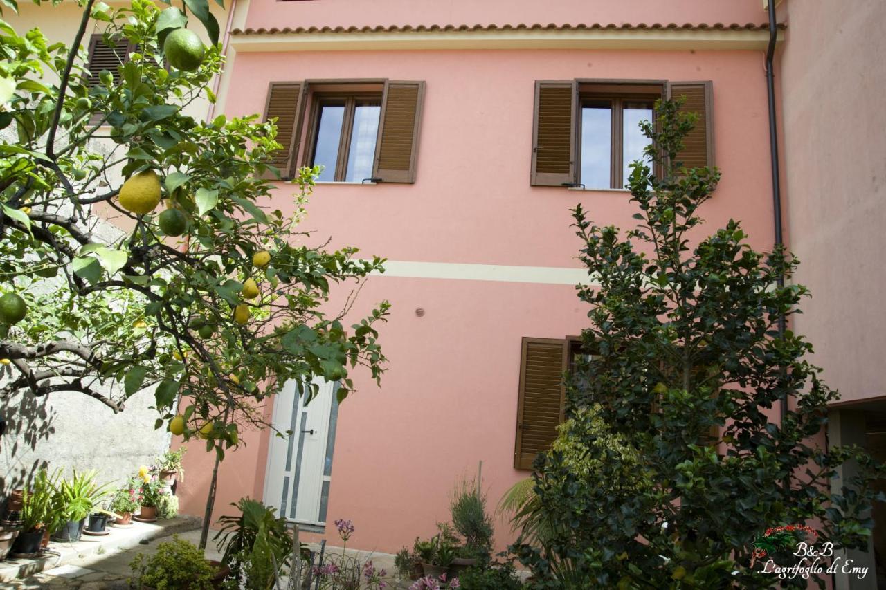 L'Agrifoglio Di Emy Bed & Breakfast Guspini Dış mekan fotoğraf