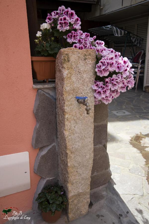 L'Agrifoglio Di Emy Bed & Breakfast Guspini Dış mekan fotoğraf
