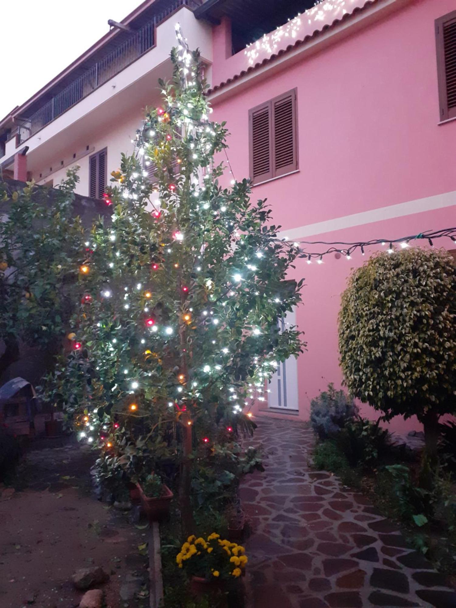 L'Agrifoglio Di Emy Bed & Breakfast Guspini Dış mekan fotoğraf